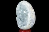 Crystal Filled Celestine (Celestite) Egg Geode - Madagascar #98821-3